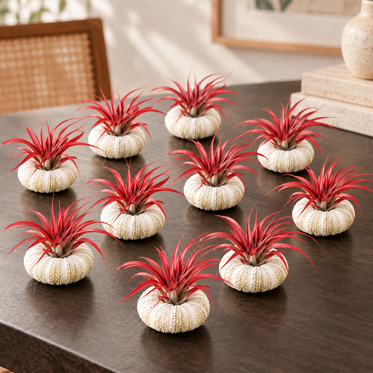 ten small round sputnik urchin air plants with tillandsia displayed together in a group arrangement, showcasing their spiky spherical form and textured green foliage against a neutral background