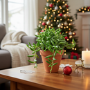 Senecio String of Bananas, easy to care houseplant, houseplant for home and office decoration, succulent plant, indoor succulent