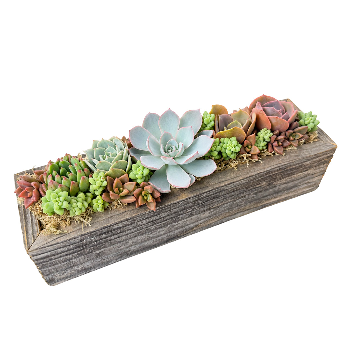 Succulent Arrangement Centerpiece 11.25" Rectangle Wooden Planter for sale. This lush arrangement adds rustic charm and greenery to dining tables, offices, and living spaces.