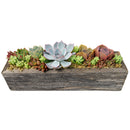 Buy Succulent Arrangement Centerpiece 11.25" Rectangle Wooden Planter online. This decorative succulent garden brings natural texture and color to tables, shelves, and countertops.