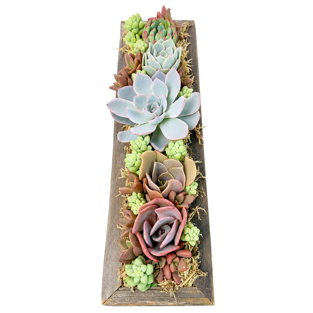 Succulent Arrangement Centerpiece 11.25" Rectangle Wooden Planter for sale. A charming low-maintenance centerpiece perfect for plant lovers, special occasions, and everyday decor.