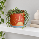 with tray Sunset Layered Flower Pot for sale, concrete warm tones decorative style large size, great for patio decor, thoughtful present for gardeners
