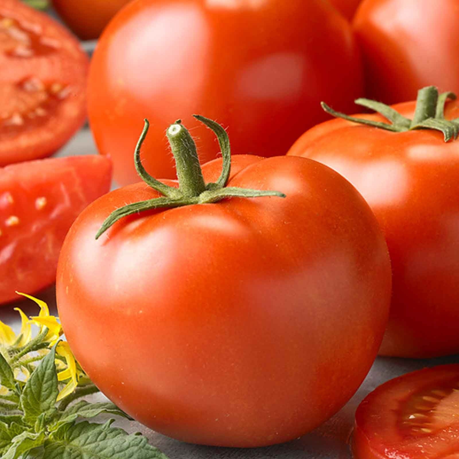 succulent tomatoes Tomato Better Boy