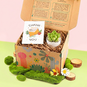 Mother's Day Gift Box - 1 Succulent