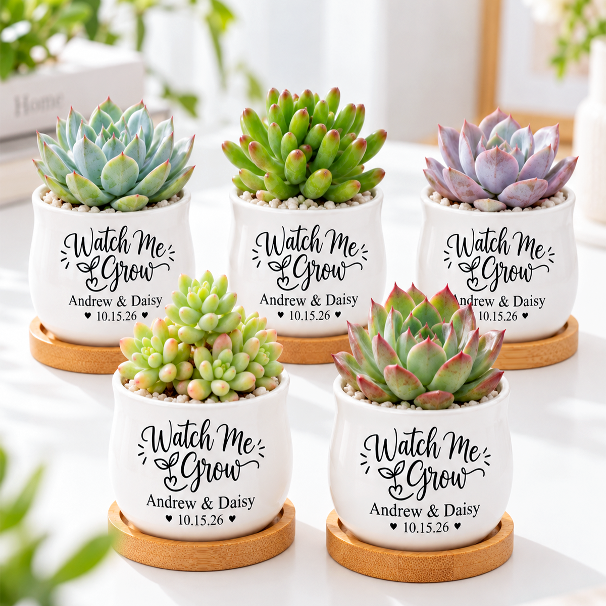 buy Pack of Personalized Succulent Pot for Wedding favor - Watch Me Grow online, white glazed ceramic barrel-shaped mini planter with bamboo drainage tray, custom printed with couple names and wedding date, compact 2.6 inch decorative vessel, makes a memorable keepsake gift for wedding guests