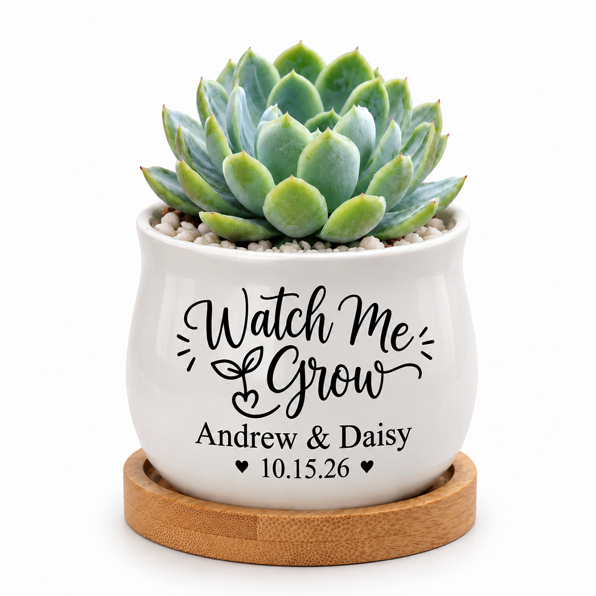 buy Personalized Succulent Pot for Wedding favor - Watch Me Grow online, white pot with succulent plant display, watch me grow custom design, bamboo tray included, memorable wedding favor keepsake
