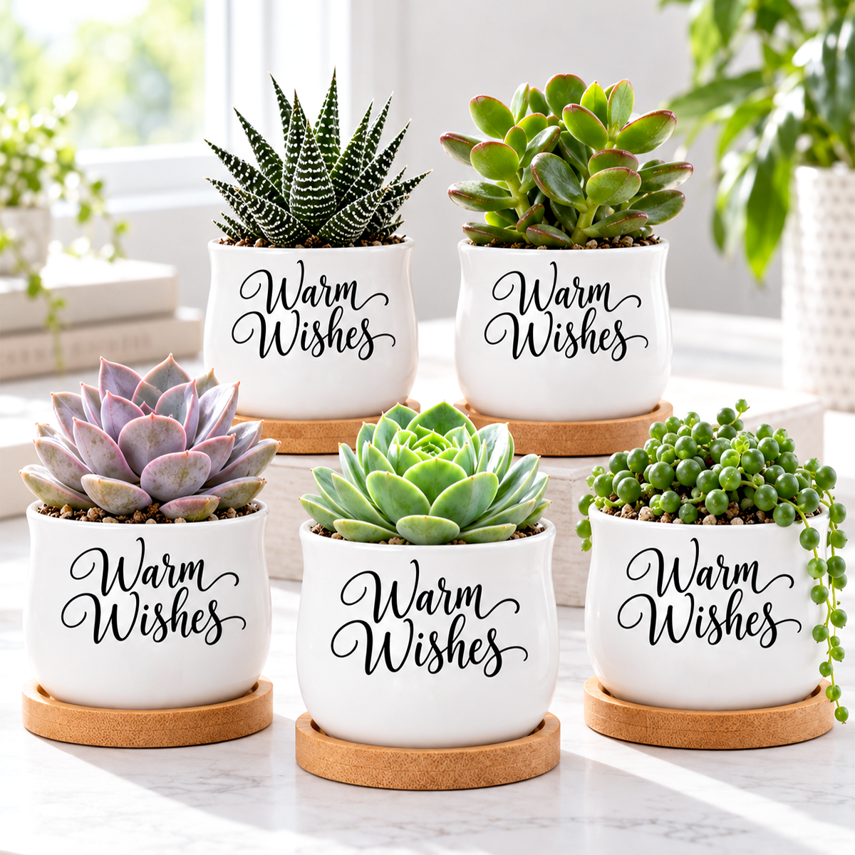 Buy Pack of Succulent Pot - Warm Wishes online, white glazed ceramic barrel-style mini pot, natural bamboo drainage tray included, cute desk or shelf display, ideal gift for plant lovers and home decor enthusiasts