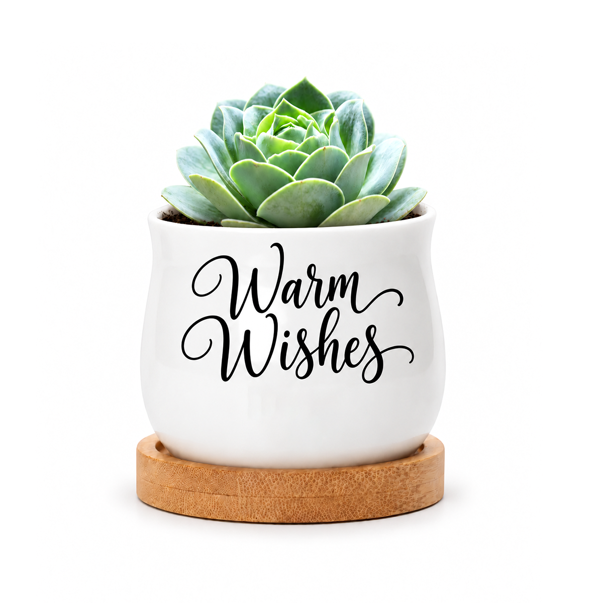 buy white mini ceramic planter with bamboo base online, warm wishes themed decoration, perfect for tea lights or wrapped treats, tabletop accent piece