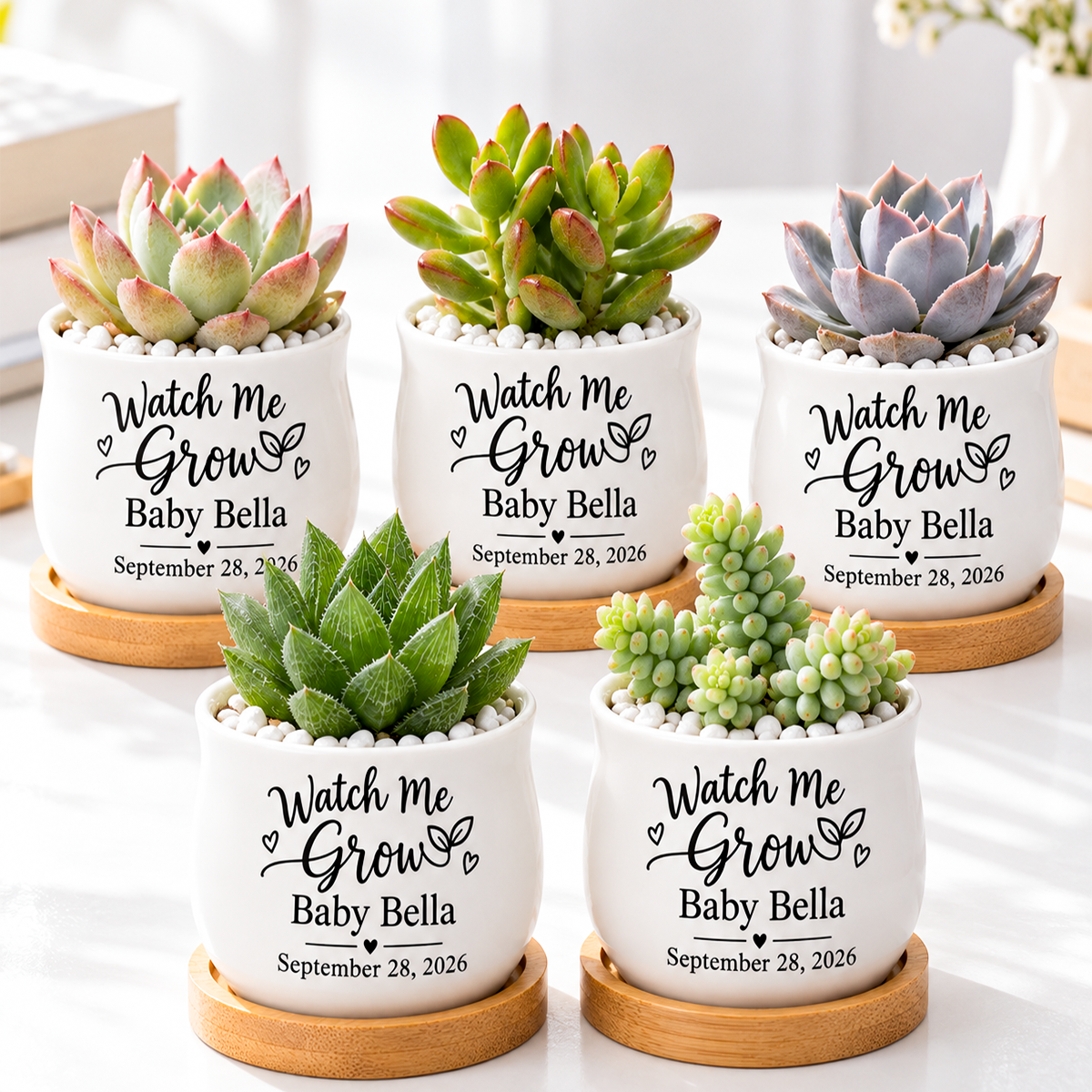 buy Pack of Personalized Succulent Pot for Baby Shower Favor - Watch Me Grow online, white glazed ceramic barrel-style mini planter, includes natural bamboo drainage tray, custom printed with baby's name and arrival date, perfect as a sweet baby shower party favor or keepsake gift