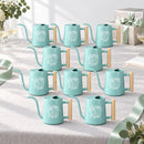 gray Pack of Watering Can - Bloom &amp; Grow 10-Pack for sale, sturdy gray plastic, 1.2-liter volume, modern and minimalist look, great for starting seeds, unique present for plant collectors