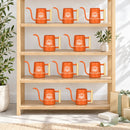 orange 10-pack of watering can drawn to the bloom for sale, vibrant rust-resistant coating with ergonomic handle, medium capacity pourer for daily watering, perfect for patio gardens, unique plant lover gift
