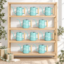 gray 30-pack pack of watering can - grow with the flow for sale, versatile light gray hue, robust weather-proof material, balanced pouring angle, perfect for indoor jungle setups, fantastic gift for plant collectors