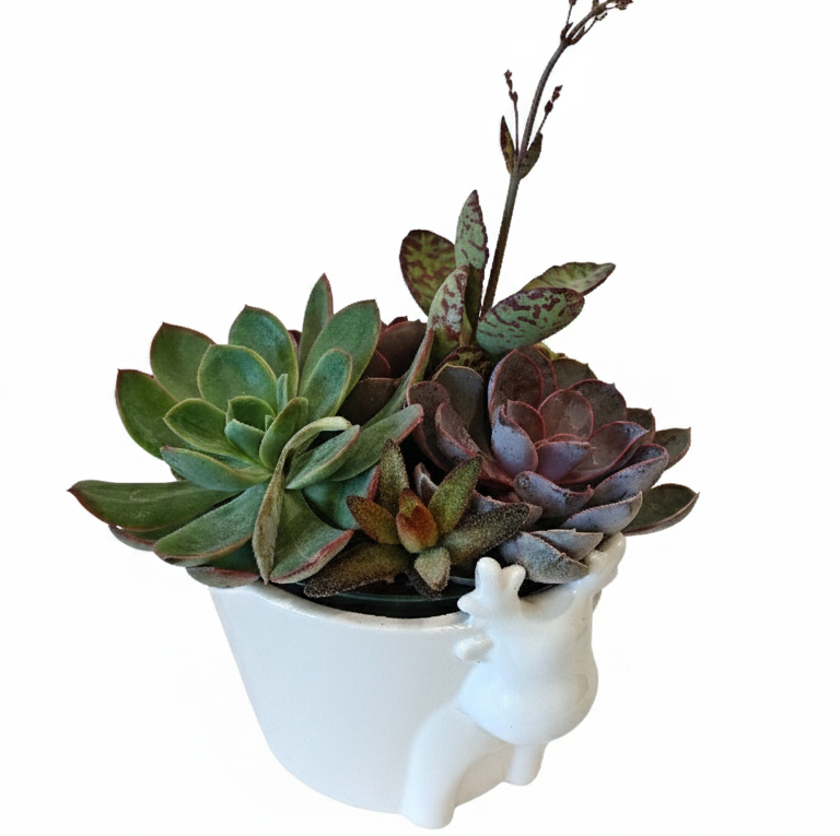 reindeer succulent White Reindeer Ceramic Pot with Succulents Arrangement - Holiday Gifts