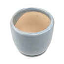 succulent pots with drainage, decorative pots for succulents, succulent pots with saucers, cactus pots with drainage