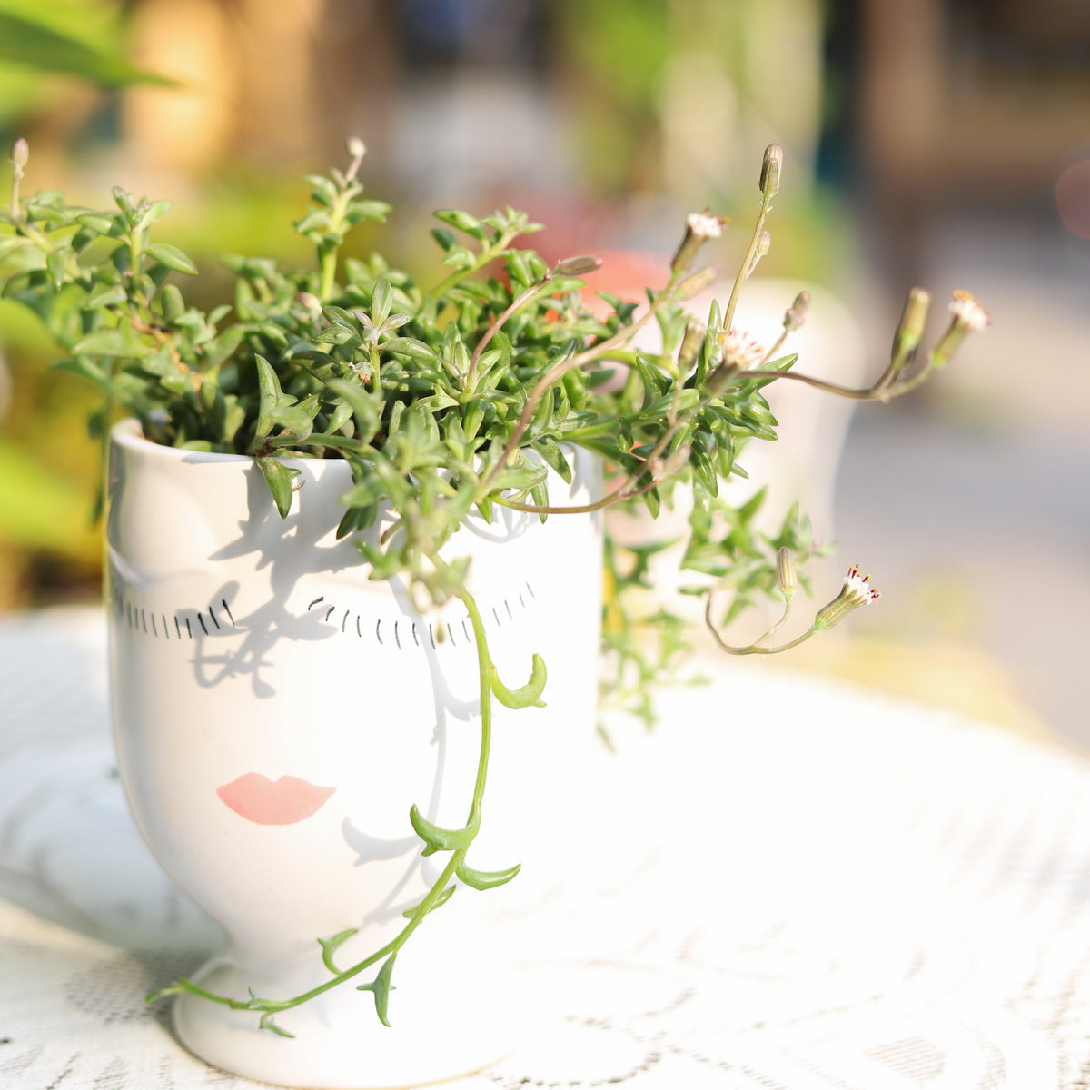 Hand-painted Pretty Lady Face Pot for sale, 4 inch pot for cactus and succulent plant, unique Artistic Lady Face Pots, modern home decor ideas, small ceramic pot for succulent, succulent gift ideas for women