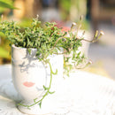 Hand-painted Pretty Lady Face Pot for sale, 4 inch pot for cactus and succulent plant, unique Artistic Lady Face Pots, modern home decor ideas, small ceramic pot for succulent, succulent gift ideas for women