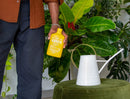 Organic Bio Insecticide - Arber