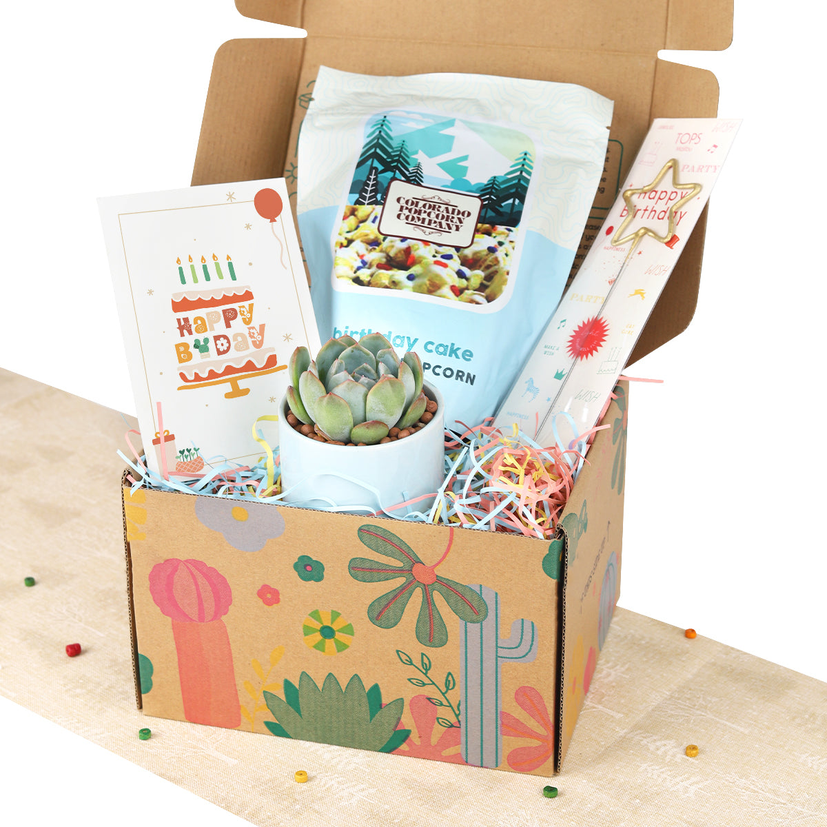 birthday gift box, succulent gift box, gift box for birthday, birthday present, birthday gift ideas, birthday gift box for her