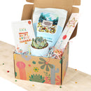 birthday gift box, succulent gift box, gift box for birthday, birthday present, birthday gift ideas, succulent gift ideas