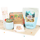birthday gift box, succulent gift box, gift box for birthday, birthday present, birthday gift ideas, succulent gift ideas