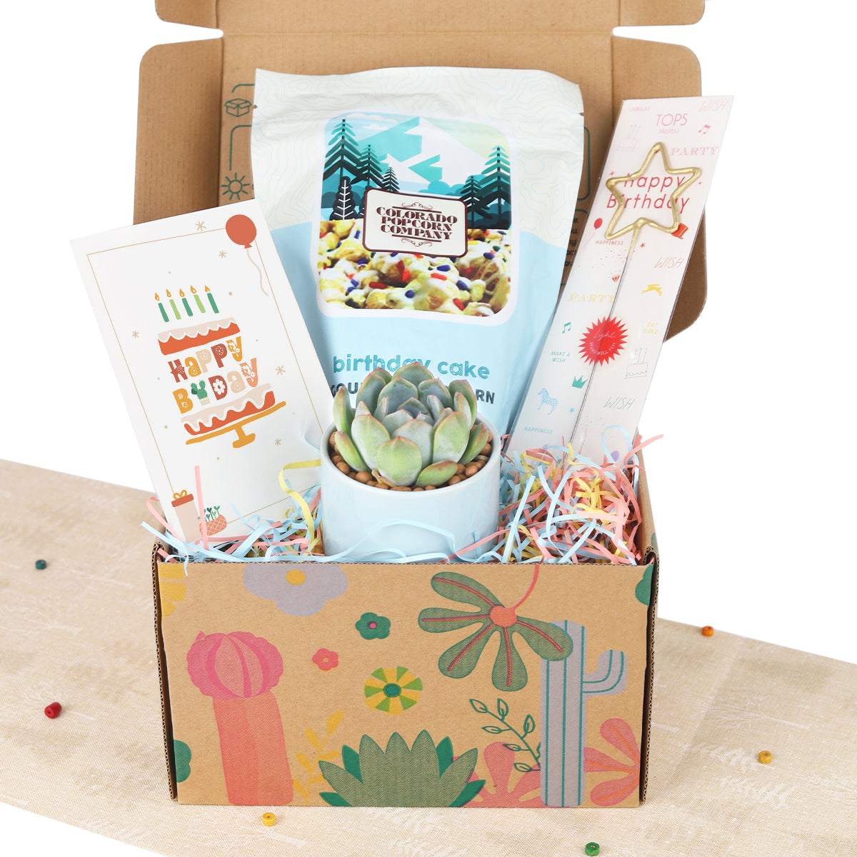 birthday gift box, succulent gift box, gift box for birthday, birthday present, birthday gift ideas, succulent gift ideas