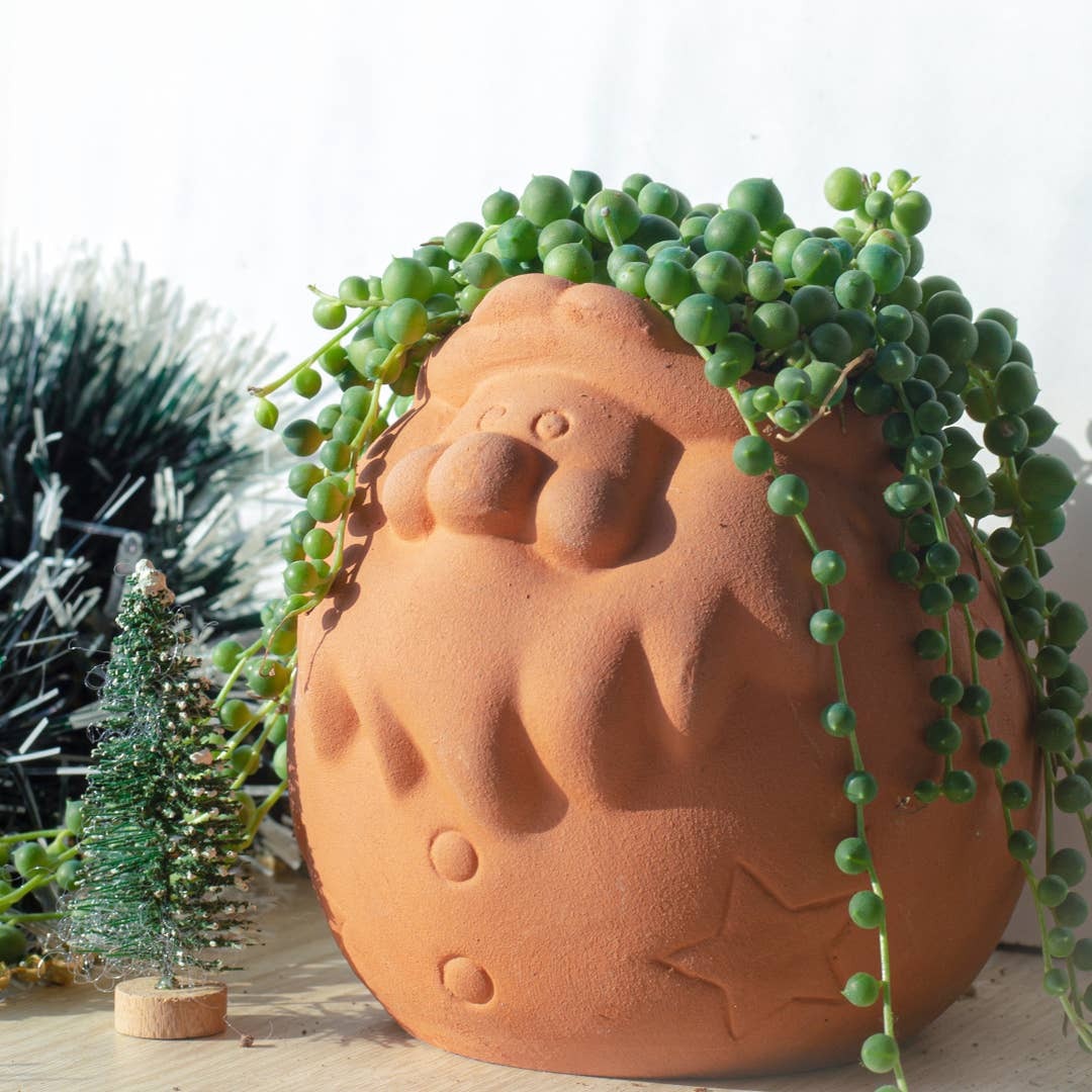 string succulents for sale Buy String Of Pearls Hanging Succulent Plant Online 4 inch / Watercolor Custom Pot by Succulents Box
