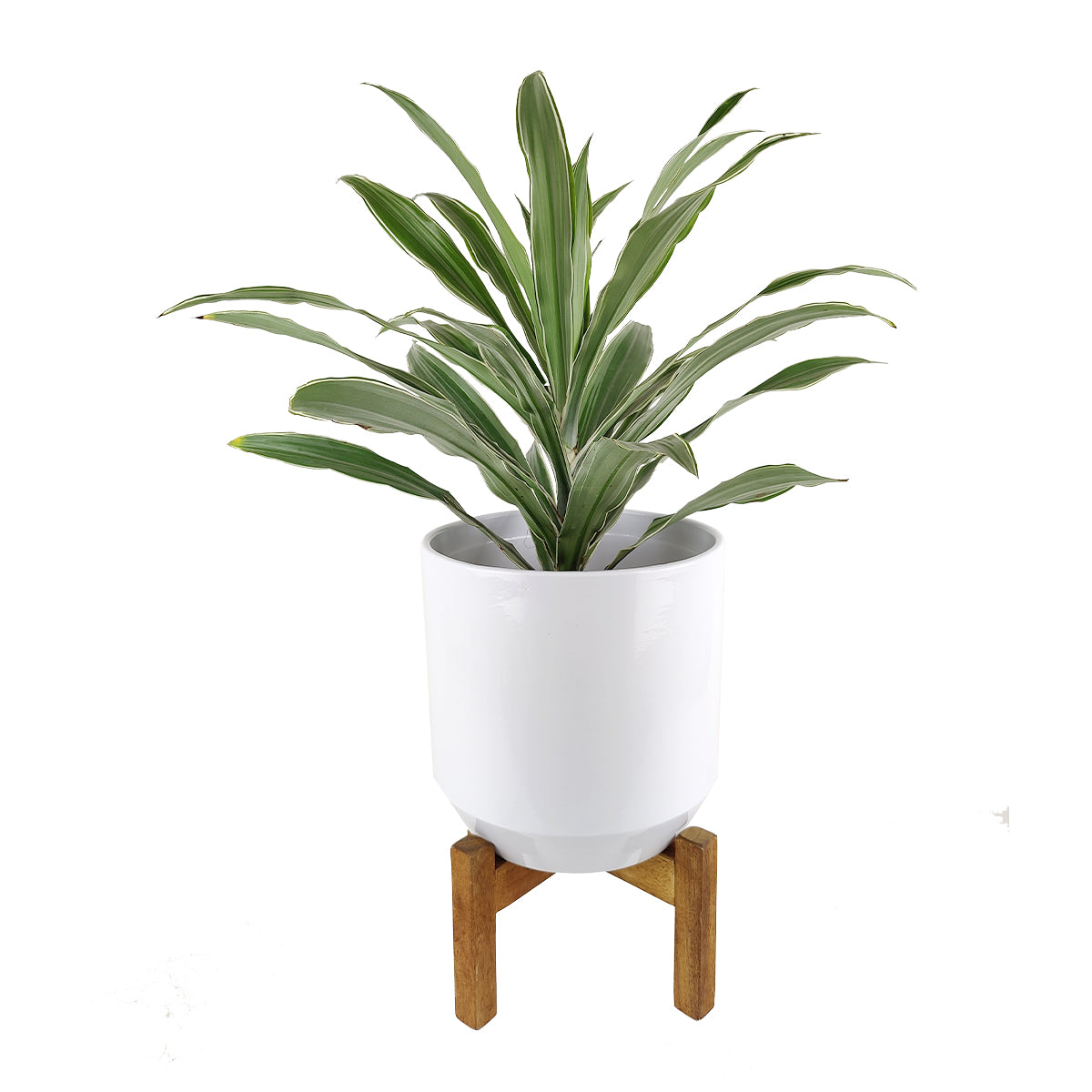 ceramic flower pot with stand 9.8 inch White Ceramic Pot with Wooden Stand