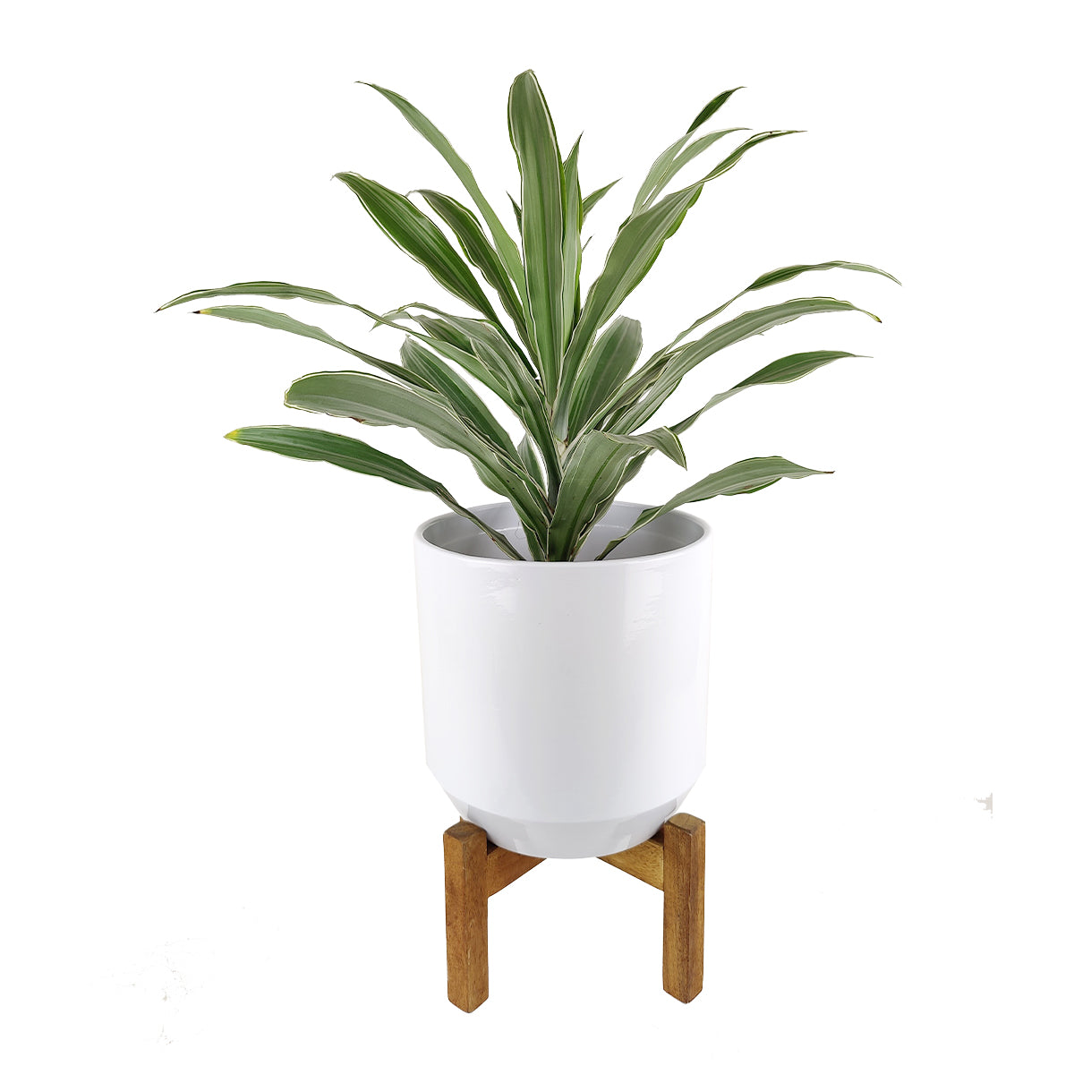 planter with stand, white planter with stand, plant pot with stand, pot with stand, large planter with stand, ceramic planter with stand, indoor plant pot with stand, 10 inch planter with stand, large pot with stand, 10 inch pot with stand, Pot for Indoor Houseplant