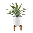 White Ceramic Pot with Wooden Stand