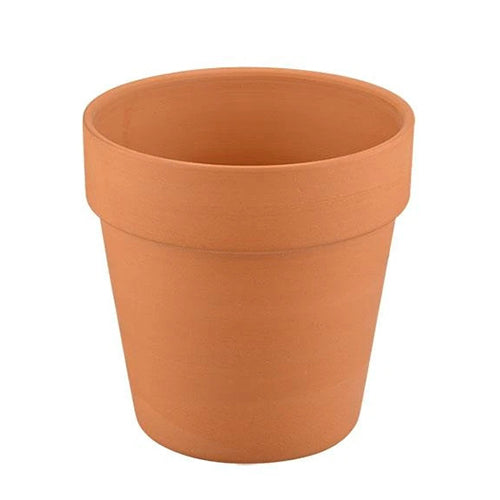 2&quot; or 4.3&#39;&#39; Terracotta Pot