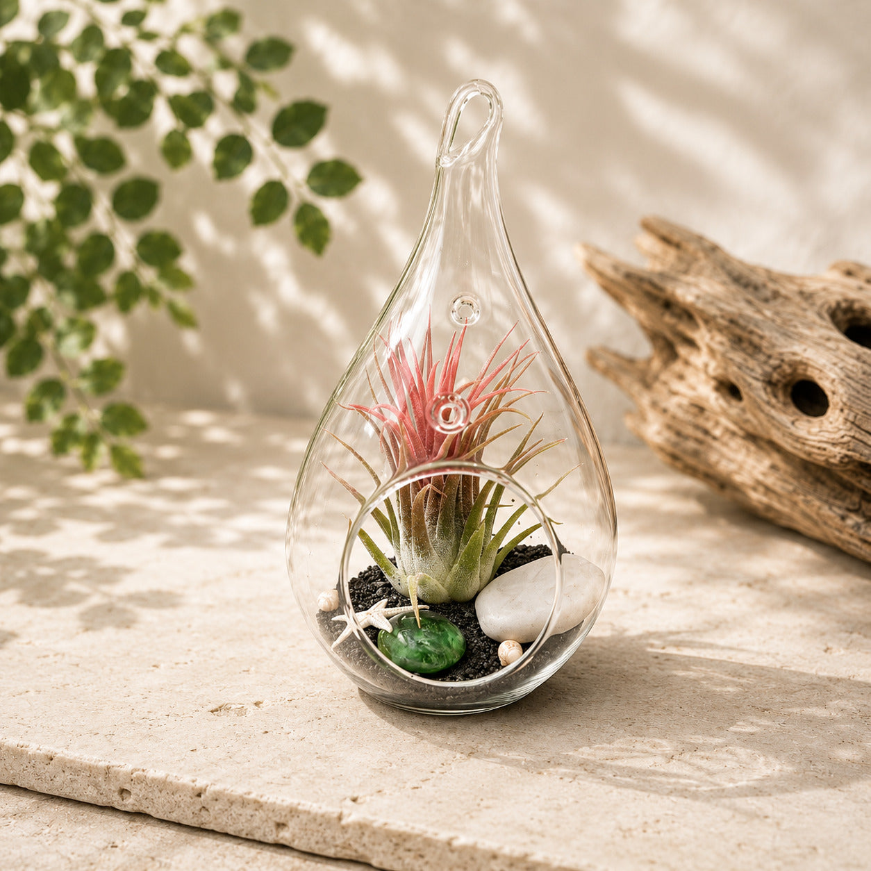 wooden teardrop hanging planter Teardrop Beach Terrarium with Black Sand, Striking Succulent Display