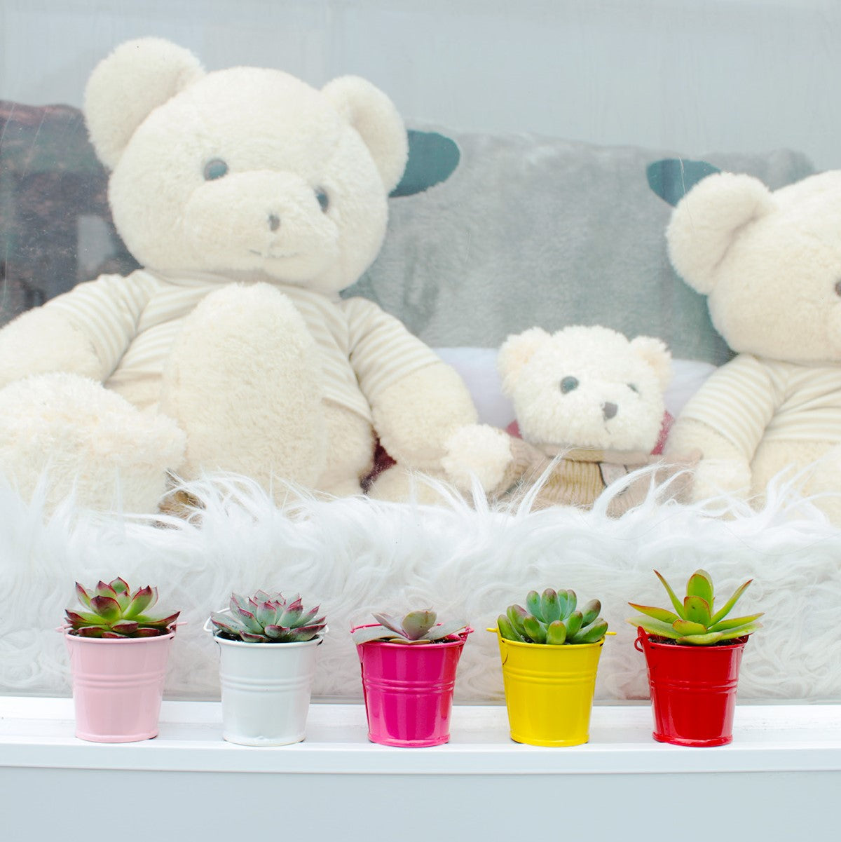 tiny white buckets, craft supplies, favor tin pail, white pot, succulent pot, succulent box, garden gift, succulent garden, succulent party, metal pot