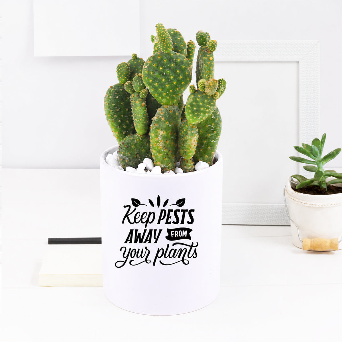 custom ceramic pot, personalized plant gift, unique gift idea, housewarming gift, garden decor, plant lover gift, office desk decor, memory gift, memorial planter