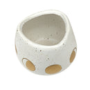 indoor cactus plant pots, decorative pots for succulents, unique succulent pots, succulent planter ideas indoor, buy small plant pots online