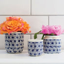 Decorative Houseplant Pot for Sale Online