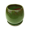 buy plant pots online, ceramic pot for sale, ceramic planter, indoor planter with saucer