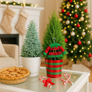 Living Christmas gift idea elf, Miniature Christmas tree in striped pot