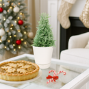 lavender holiday tree, Christmas tree shaped, aromatic holiday tree, indoor houseplant, Christmas Gift, Lavender Holiday Tree in Ceramic Pots, Fragrance Indoor Houseplants