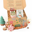 Merry Christmas Stockings Postcard, christmas Postcard 2025, cute design Postcard for plant lovers