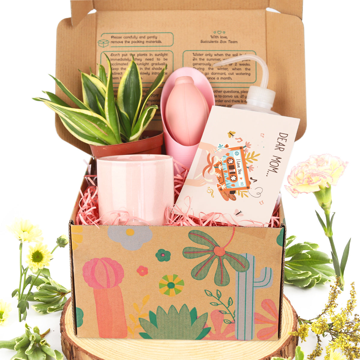 Mother's day houseplant gift box, Plant gift for Mom