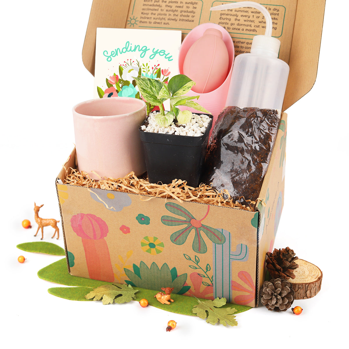 gift indoor plants online Houseplant Beginner Kit Gift Box - Easy Care Indoor Plant Starting Kits with Tool