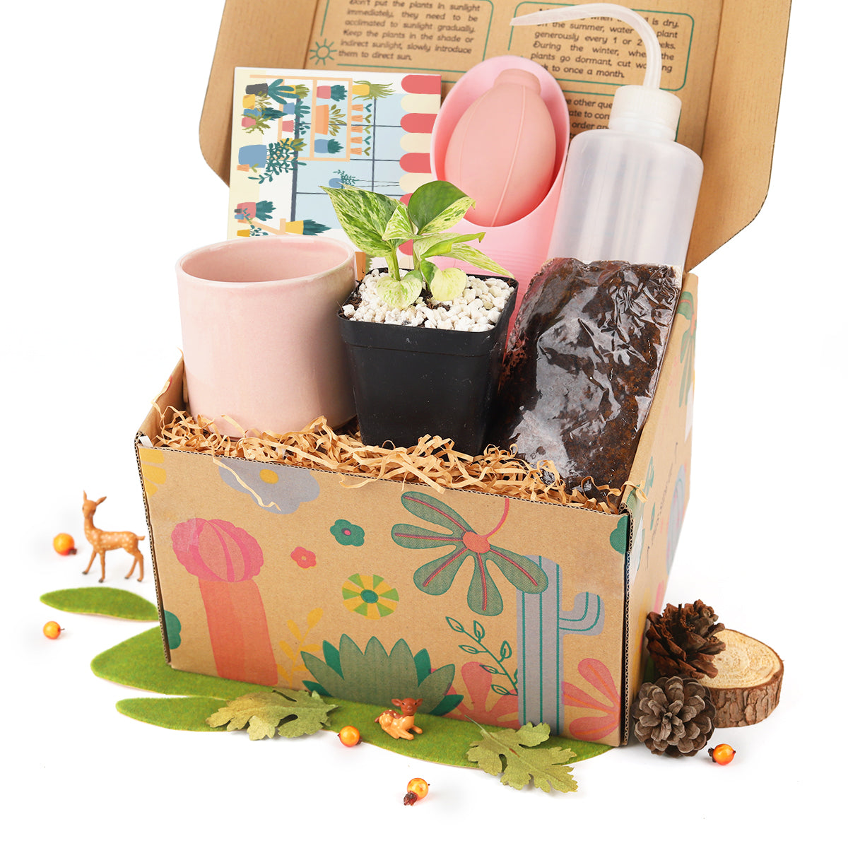 house plant gifts delivery Houseplant Beginner Kit Gift Box - Easy Care Indoor Plant Starting Kits with Tool
