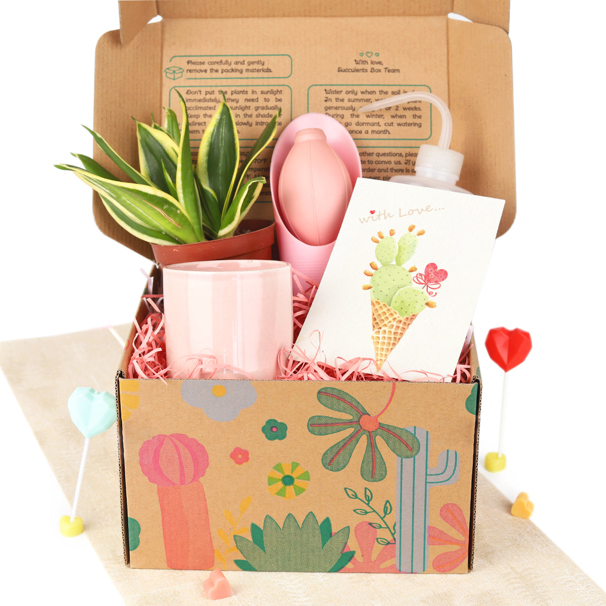house plant kit gift Houseplant Beginner Kit Gift Box - Easy Care Indoor Plant Starting Kits with Tool