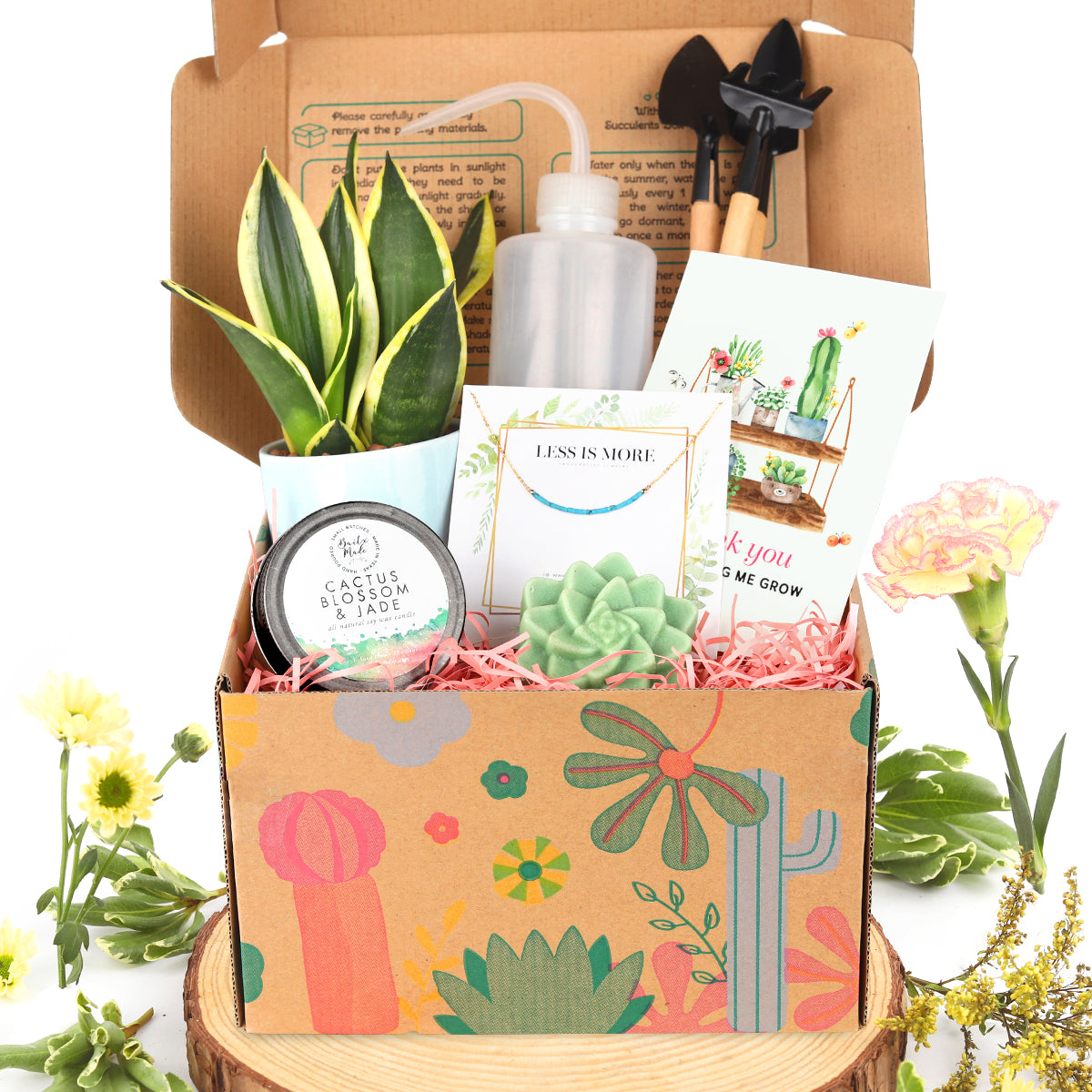 house plant gift box, house plant box gift, gift box, Premium Houseplant Gift Box, Premium Houseplant Gift Box for sale, buy Premium Houseplant Gift Box online, gift box with greeting card, Mother&#39;s Day Gift Box Ideas 2025