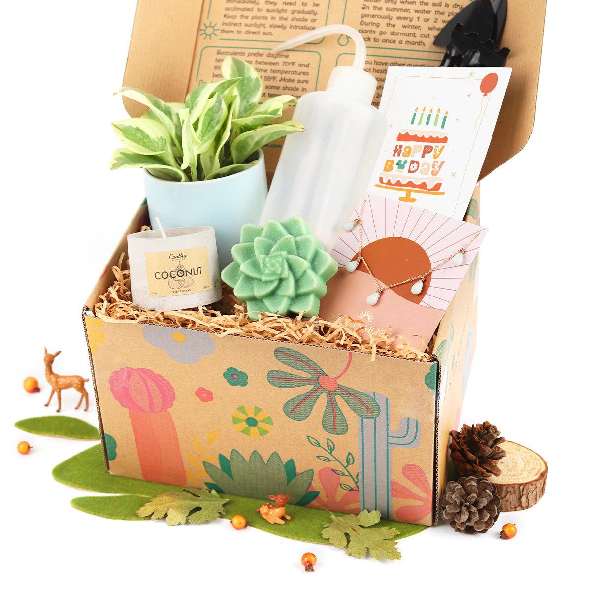 Premium Houseplant Gift Box for Women, Unique Women/ Girlfriend Gift Ideas, Women Jewelry Gift Ideas 2025