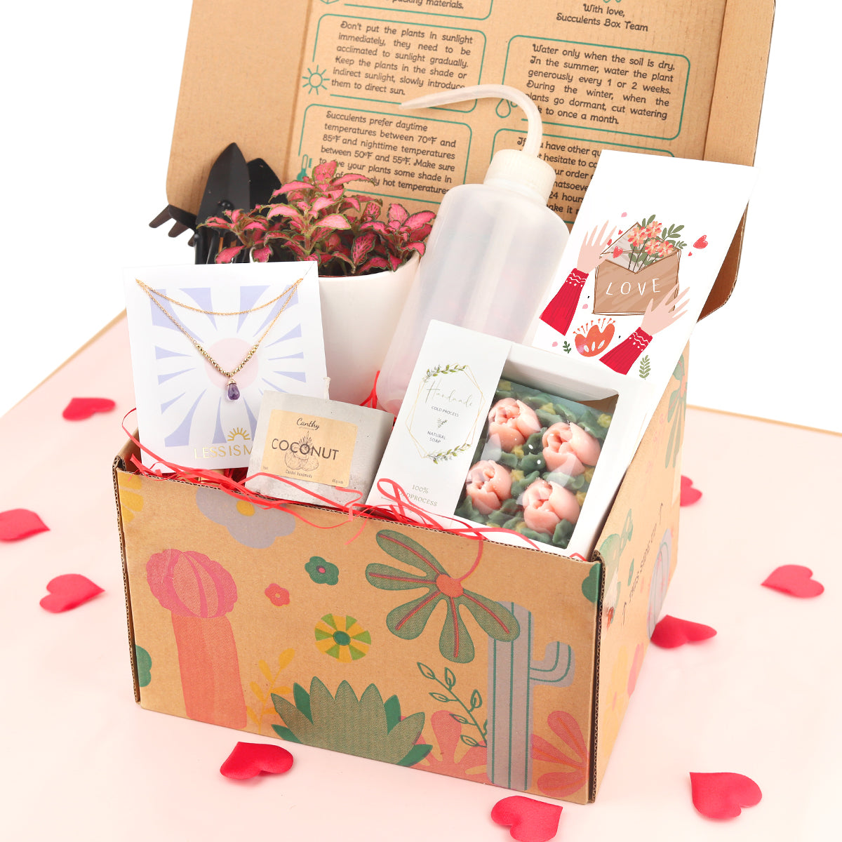 succulents gift box, gifts for plant lovers, 2025 gift ideas, plants gift box 2025, gifts near me, valentine gifts for kids