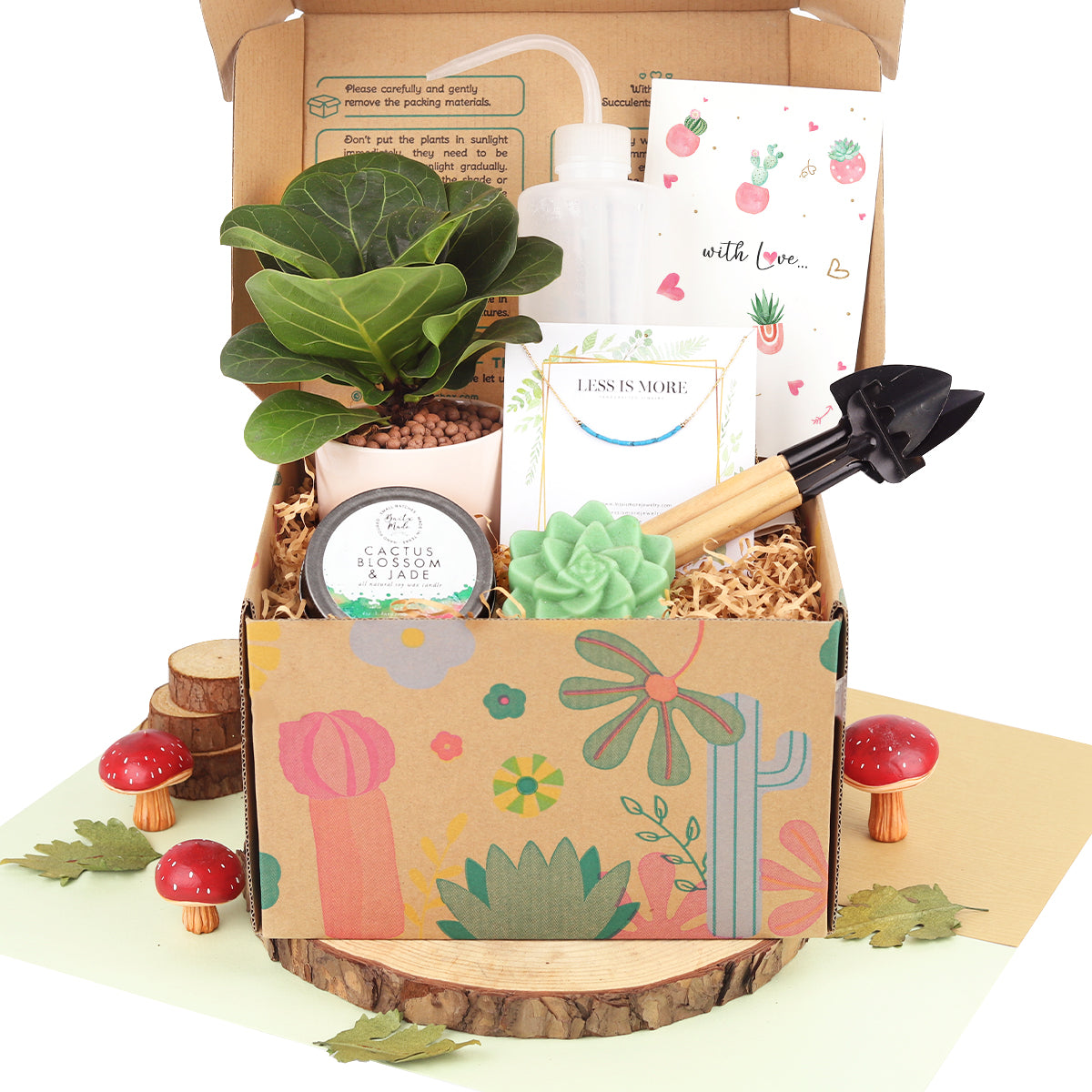 house plant gift box, house plant box gift, gift box, Premium Houseplant Gift Box, Premium Houseplant Gift Box for sale, buy Premium Houseplant Gift Box online 2025