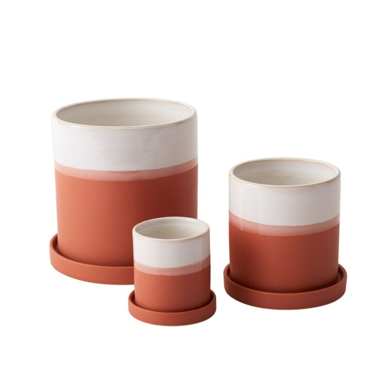 Dawn Pot