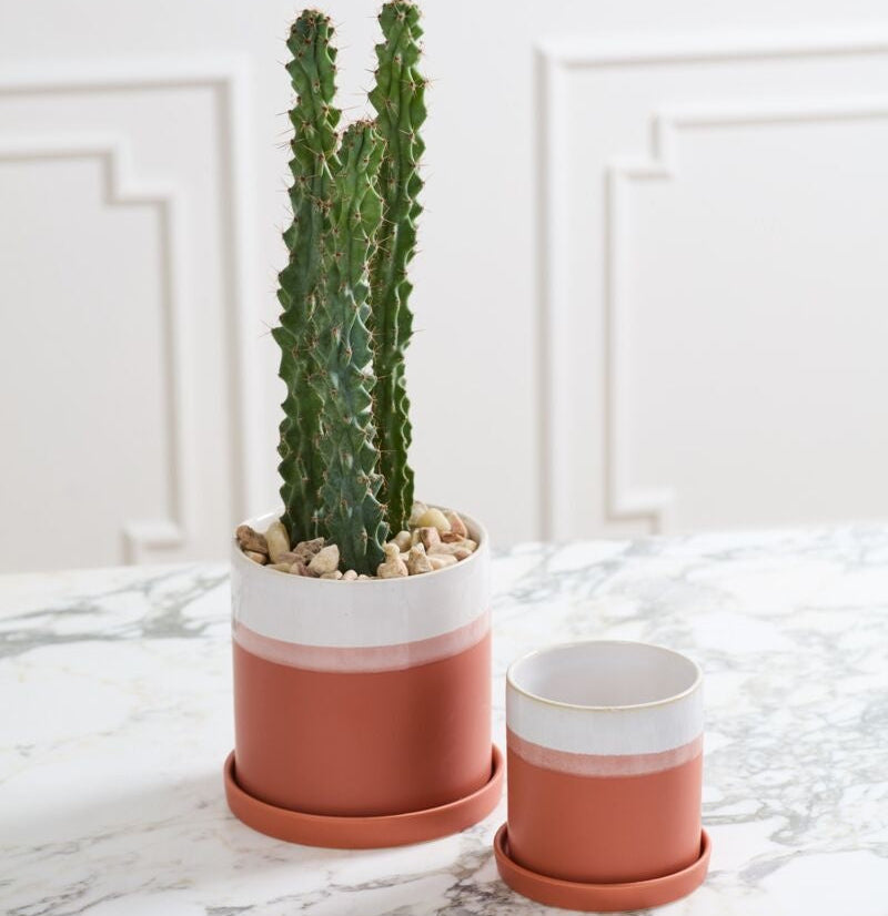 Dawn Pot