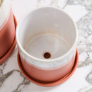 Dawn Pot